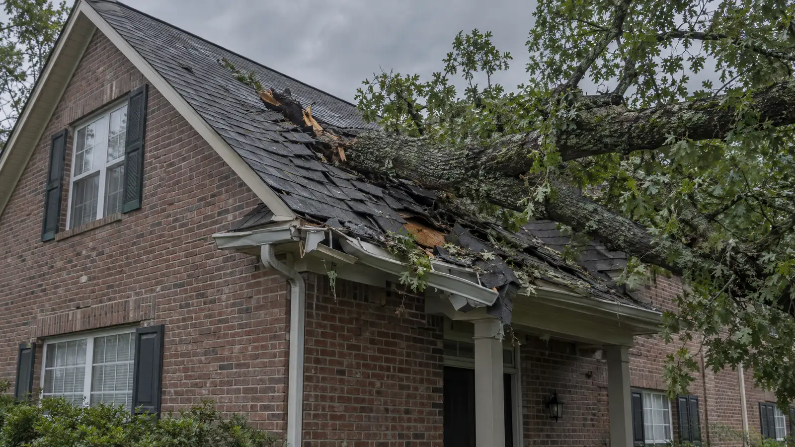 Before: a brick house with a large limb crashed onto the roof, crushed shingles and a broken gutter
