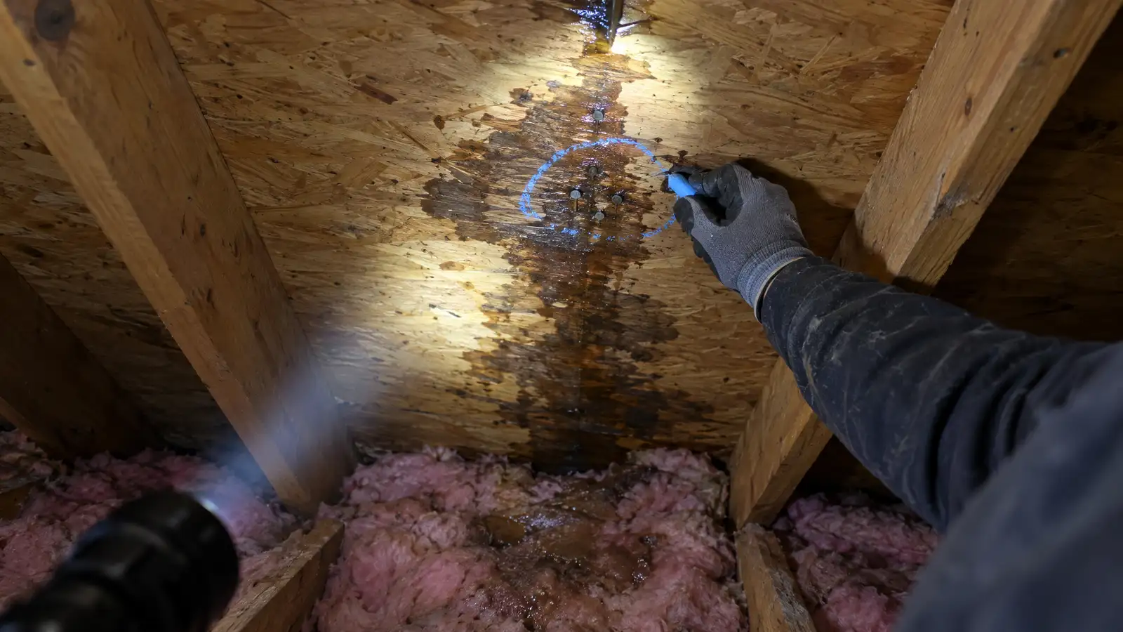 Attic Water Damage Roof Source Repair in Nashville and Middle Tennessee