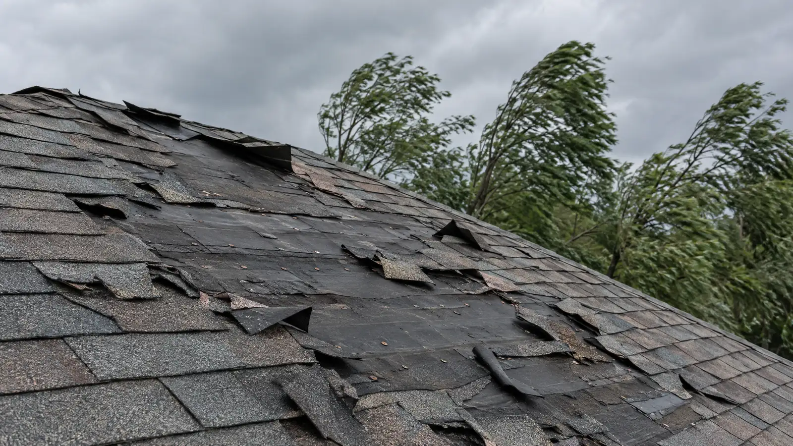 Wind Damage Roof Repair in Nashville and Middle Tennessee